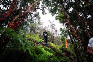 BIB: 
                            <button type="button" onclick="openModal(26202141)" class="btn btn-primary btn-sm float-right btn-popup" data-toggle="modal" data-target=".modal-high-quality">
                        <i class="fas fa-shopping-cart"></i> Add to Cart
                    </button>
                                            <button type="button" onclick="isThisMe(26202141, true)" class="btn btn-success btn-sm float-right btn-popup btn-isme hidden" data-toggle="tooltip" data-placement="bottom" title="นี่คือรูปของคุณใช่ไหม คลิกที่นี่เพื่อเอาเข้าอัลบั้ม">
                        <i class="fas fa-plus"></i> Add to album
                    </button>
                    <button type="button" onclick="isThisMe(26202141, false)" class="btn btn-warning btn-sm float-right btn-popup btn-isnotme hidden">
                        <i class="fas fa-ban"></i> Remove from album
                    </button>